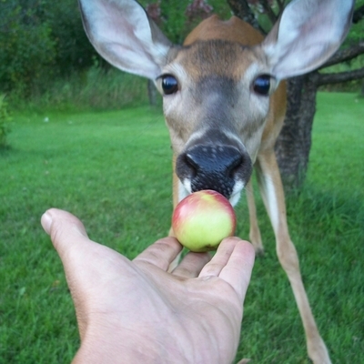 coffeemug@autistics.life