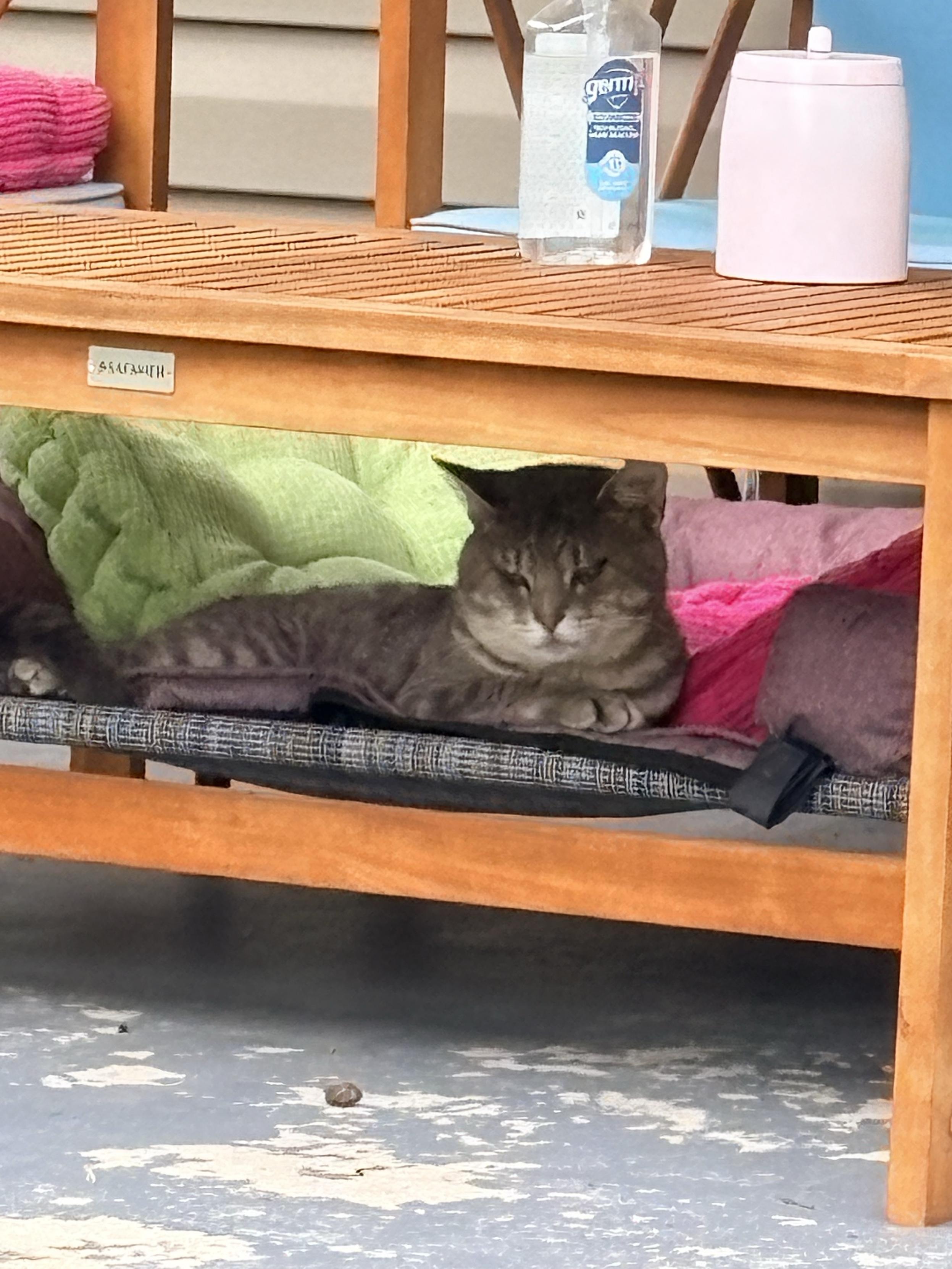 a gray tabby cat lays between cushions on a raised dog bed underneath a patio table on my front porch